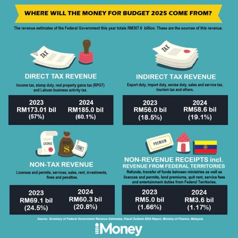 Where Does The Budget Money Come From Budget2025 Revenue 800x800