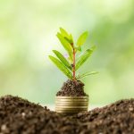 Young plant growing from coin stack in soil, symbolizing financial growth, savings, investment and sustainable wealth building