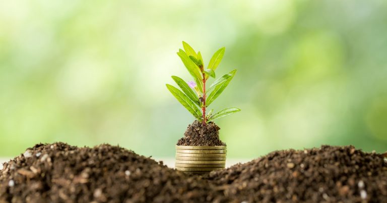 Young plant growing from coin stack in soil, symbolizing financial growth, savings, investment and sustainable wealth building